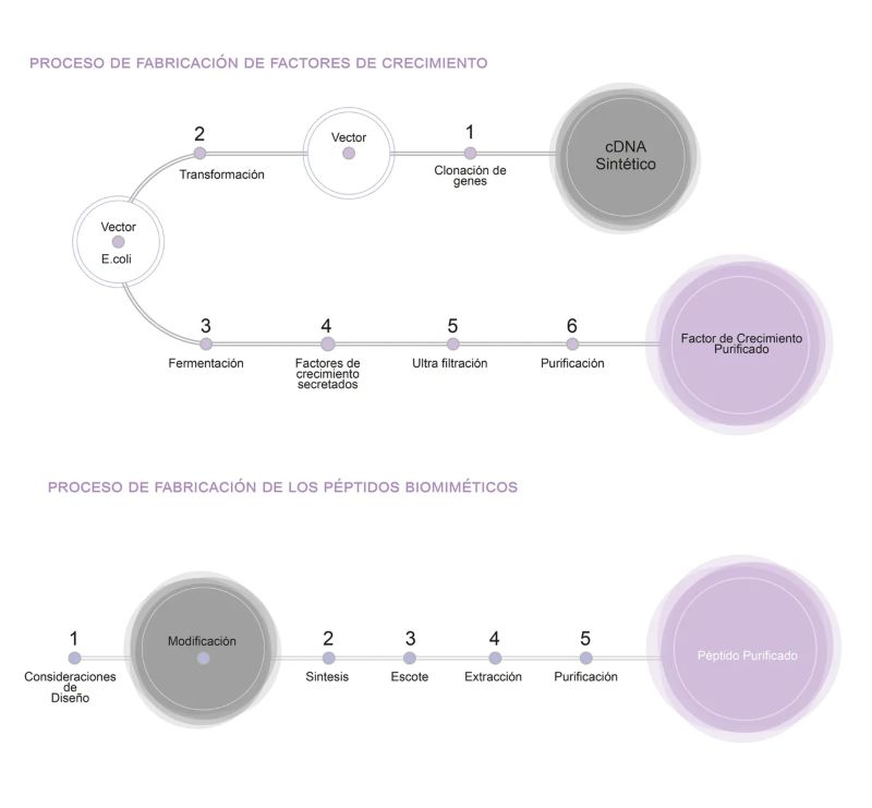 Proceso peptidos biomimeticos