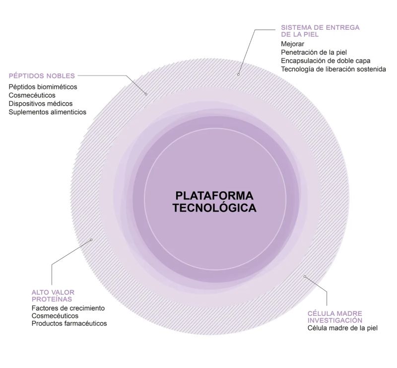 Proceso peptidos biomimeticos